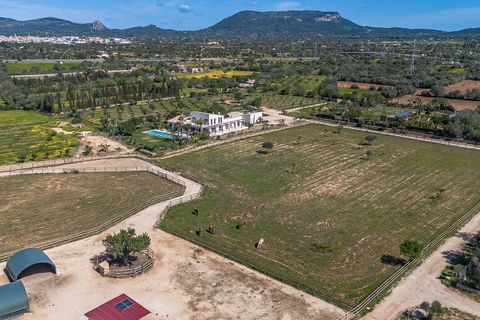 Villa i Llucmajor, Mallorca, Llucmajor - € 6.300.000 | Ref: 32702 - foto 25