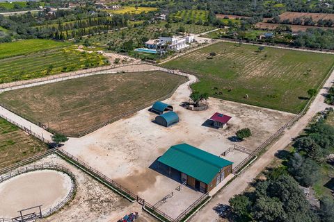 Villa i Llucmajor, Mallorca, Llucmajor - € 6.300.000 | Ref: 32702 - foto 26