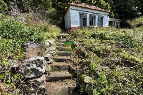 Villa a Ribeira Brava, Madeira, Ribeira Brava - € 133.000 | Ref: CT-1890/2026 - foto 3