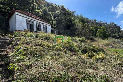 Villa a Ribeira Brava, Madeira, Ribeira Brava - € 133.000 | Ref: CT-1890/2026 - foto 4