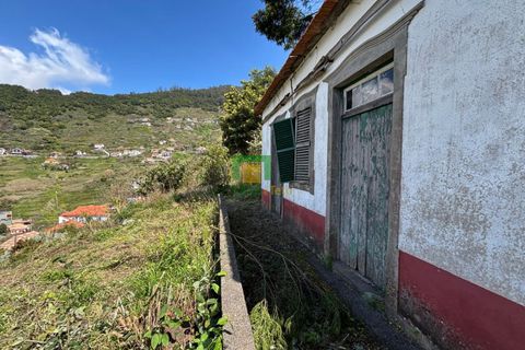 Villa a Ribeira Brava, Madeira, Ribeira Brava - € 133.000 | Ref: CT-1890/2026 - foto 5