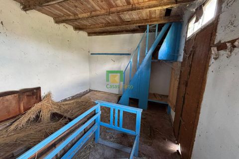 Villa a Ribeira Brava, Madeira, Ribeira Brava - € 133.000 | Ref: CT-1890/2026 - foto 7