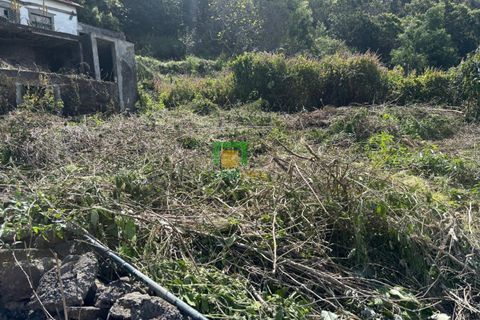 Villa a Ribeira Brava, Madeira, Ribeira Brava - € 133.000 | Ref: CT-1890/2026 - foto 8