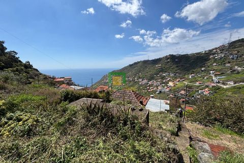 Villa a Ribeira Brava, Madeira, Ribeira Brava - € 133.000 | Ref: CT-1890/2026 - foto 9