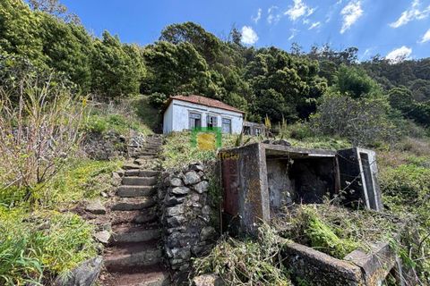 Villa a Ribeira Brava, Madeira, Ribeira Brava - € 133.000 | Ref: CT-1890/2026 - foto 10