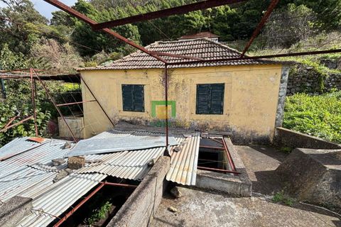 Villa a Ribeira Brava, Madeira, Ribeira Brava - € 133.000 | Ref: CT-1890/2026 - foto 11