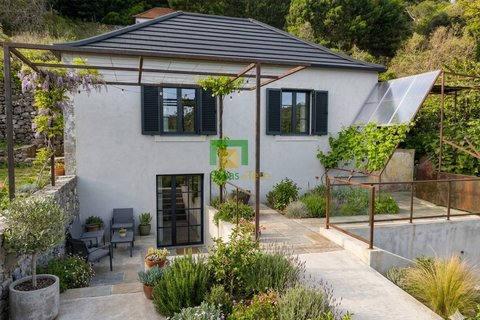 Villa a Ribeira Brava, Madeira, Ribeira Brava - € 133.000 | Ref: CT-1890/2026 - foto 12