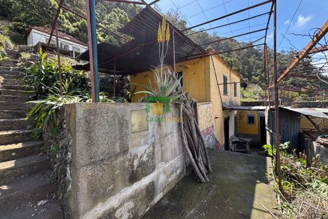 Villa a Ribeira Brava, Madeira, Ribeira Brava - € 133.000 | Ref: CT-1890/2026 - foto 13