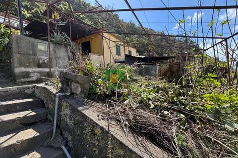 Villa a Ribeira Brava, Madeira, Ribeira Brava - € 133.000 | Ref: CT-1890/2026 - foto 14