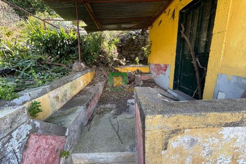 Villa a Ribeira Brava, Madeira, Ribeira Brava - € 133.000 | Ref: CT-1890/2026 - foto 15