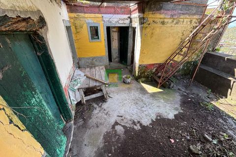 Villa a Ribeira Brava, Madeira, Ribeira Brava - € 133.000 | Ref: CT-1890/2026 - foto 16