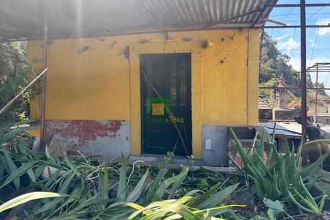 Villa a Ribeira Brava, Madeira, Ribeira Brava - € 133.000 | Ref: CT-1890/2026 - foto 18