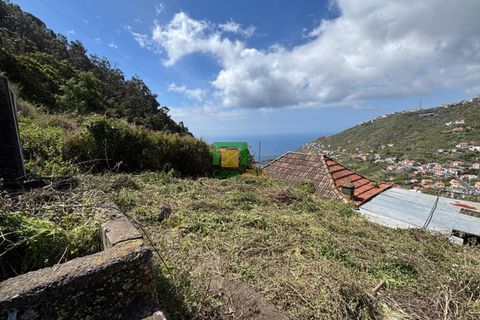 Villa a Ribeira Brava, Madeira, Ribeira Brava - € 133.000 | Ref: CT-1890/2026 - foto 20