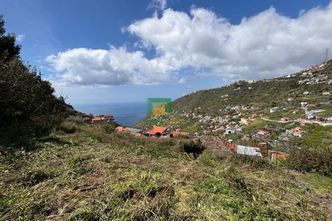 Villa a Ribeira Brava, Madeira, Ribeira Brava - € 133.000 | Ref: CT-1890/2026 - foto 21