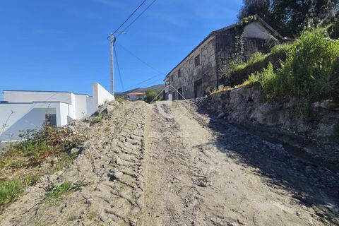 Helårsgrund i Ponte de Lima, Viana do Castelo, Ponte de Lima - € 68.000 | Ref: AV6659 - foto 12