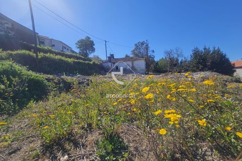 Helårsgrund i Ponte de Lima, Viana do Castelo, Ponte de Lima - € 68.000 | Ref: AV6659 - foto 19