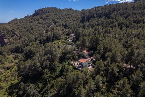 Landejendom i Guadalest, Alicante, Guadalest - € 350.000 | Ref: MAS0025 - foto 37