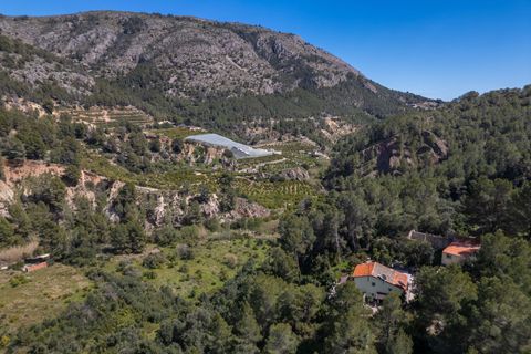 Landejendom i Guadalest, Alicante, Guadalest - € 350.000 | Ref: MAS0025 - foto 38