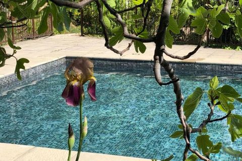 Villa i Aups, Var, Aups - € 1.250.000 | Ref: HH-16129096 - foto 5