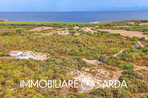 Villa i Aglientu, Sassari, Aglientu - € 1.750.000 | Ref: TVI-01-25 - foto 2