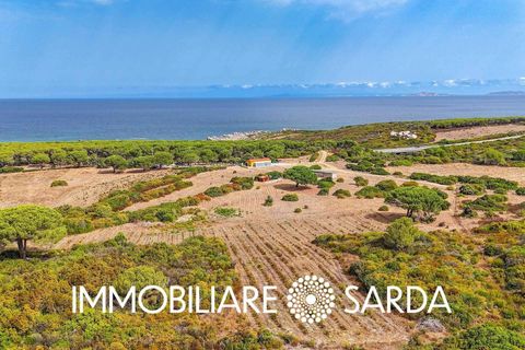 Villa i Aglientu, Sassari, Aglientu - € 1.750.000 | Ref: TVI-01-25 - foto 3