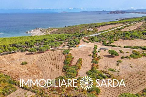 Villa i Aglientu, Sassari, Aglientu - € 1.750.000 | Ref: TVI-01-25 - foto 4
