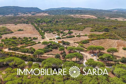 Villa i Aglientu, Sassari, Aglientu - € 1.750.000 | Ref: TVI-01-25 - foto 5