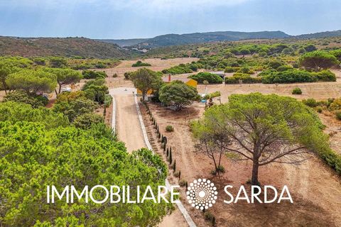 Villa i Aglientu, Sassari, Aglientu - € 1.750.000 | Ref: TVI-01-25 - foto 6