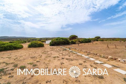Villa i Aglientu, Sassari, Aglientu - € 1.750.000 | Ref: TVI-01-25 - foto 27