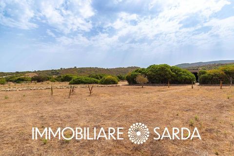Villa i Aglientu, Sassari, Aglientu - € 1.750.000 | Ref: TVI-01-25 - foto 28
