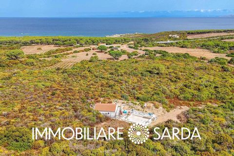 Villa i Aglientu, Sassari, Aglientu - € 1.750.000 | Ref: TVI-01-25 - foto 40