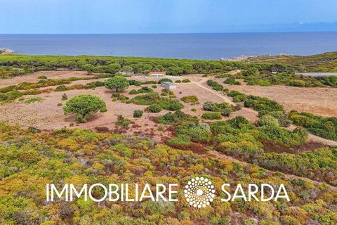 Villa i Aglientu, Sassari, Aglientu - € 1.750.000 | Ref: TVI-01-25 - foto 41