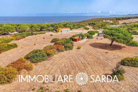 Villa i Aglientu, Sassari, Aglientu - € 1.750.000 | Ref: TVI-01-25 - foto 42