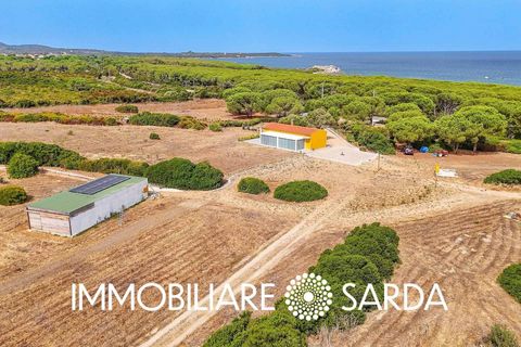 Villa i Aglientu, Sassari, Aglientu - € 1.750.000 | Ref: TVI-01-25 - foto 43