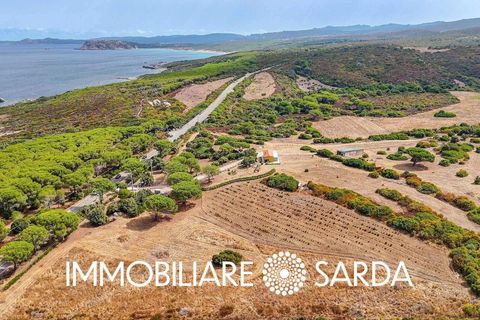 Villa i Aglientu, Sassari, Aglientu - € 1.750.000 | Ref: TVI-01-25 - foto 47