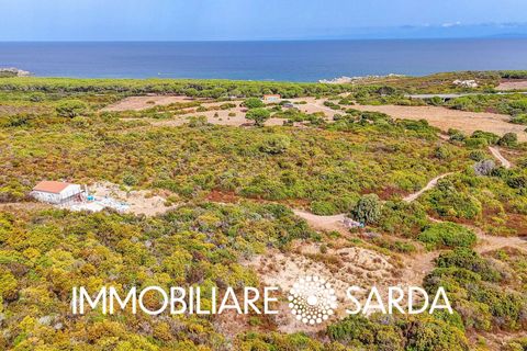 Helårsgrund i Aglientu, Sassari, Aglientu - € 590.000 | Ref: TVI-01-25b - foto 4
