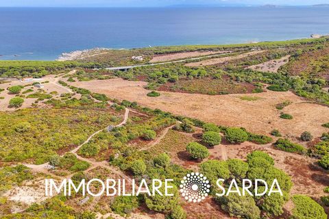 Helårsgrund i Aglientu, Sassari, Aglientu - € 590.000 | Ref: TVI-01-25b - foto 5