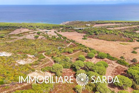 Helårsgrund i Aglientu, Sassari, Aglientu - € 590.000 | Ref: TVI-01-25b - foto 6
