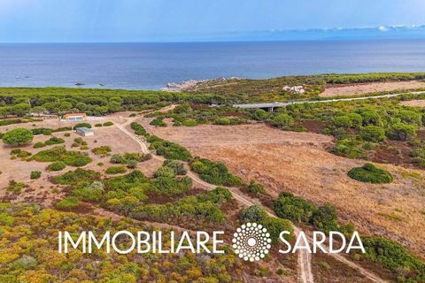 Helårsgrund i Aglientu, Sassari, Aglientu - € 590.000 | Ref: TVI-01-25b - foto 7