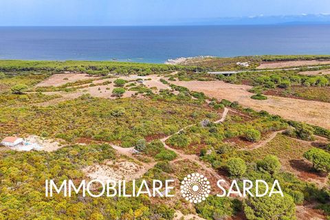 Helårsgrund i Aglientu, Sassari, Aglientu - € 590.000 | Ref: TVI-01-25b - foto 8