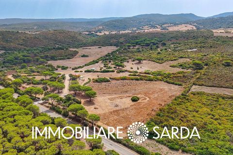 Helårsgrund i Aglientu, Sassari, Aglientu - € 590.000 | Ref: TVI-01-25b - foto 9