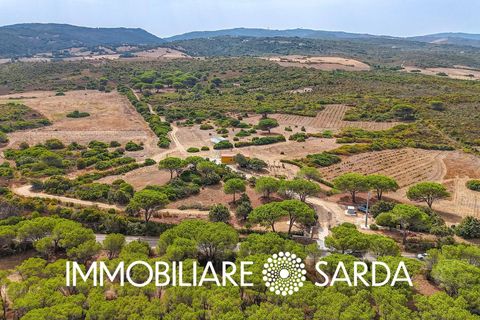 Helårsgrund i Aglientu, Sassari, Aglientu - € 590.000 | Ref: TVI-01-25b - foto 10