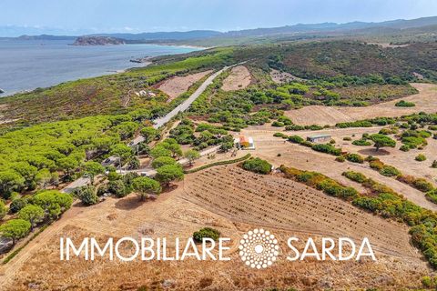 Helårsgrund i Aglientu, Sassari, Aglientu - € 590.000 | Ref: TVI-01-25b - foto 11