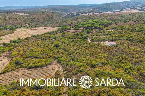 Helårsgrund i Aglientu, Sassari, Aglientu - € 590.000 | Ref: TVI-01-25b - foto 12