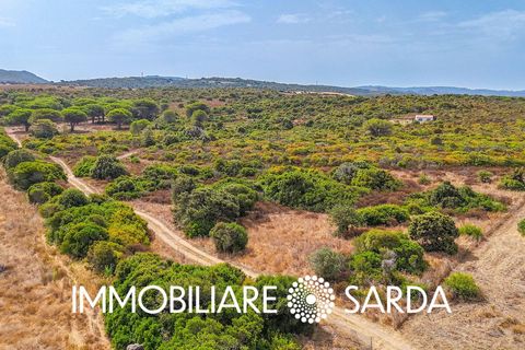 Helårsgrund i Aglientu, Sassari, Aglientu - € 590.000 | Ref: TVI-01-25b - foto 13