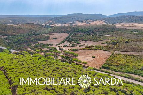 Helårsgrund i Aglientu, Sassari, Aglientu - € 590.000 | Ref: TVI-01-25b - foto 14