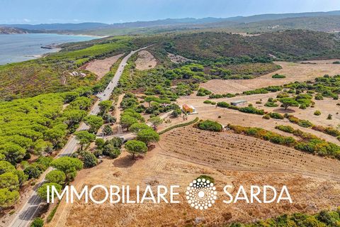 Helårsgrund i Aglientu, Sassari, Aglientu - € 590.000 | Ref: TVI-01-25b - foto 15