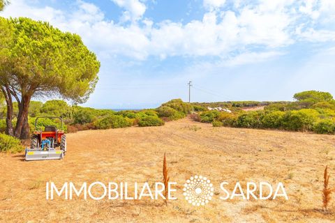 Helårsgrund i Aglientu, Sassari, Aglientu - € 590.000 | Ref: TVI-01-25b - foto 16
