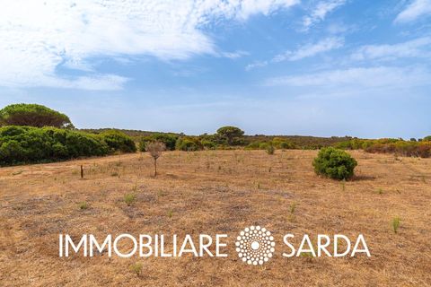 Helårsgrund i Aglientu, Sassari, Aglientu - € 590.000 | Ref: TVI-01-25b - foto 17