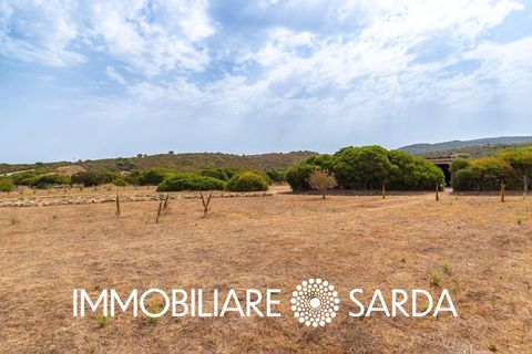 Helårsgrund i Aglientu, Sassari, Aglientu - € 590.000 | Ref: TVI-01-25b - foto 18